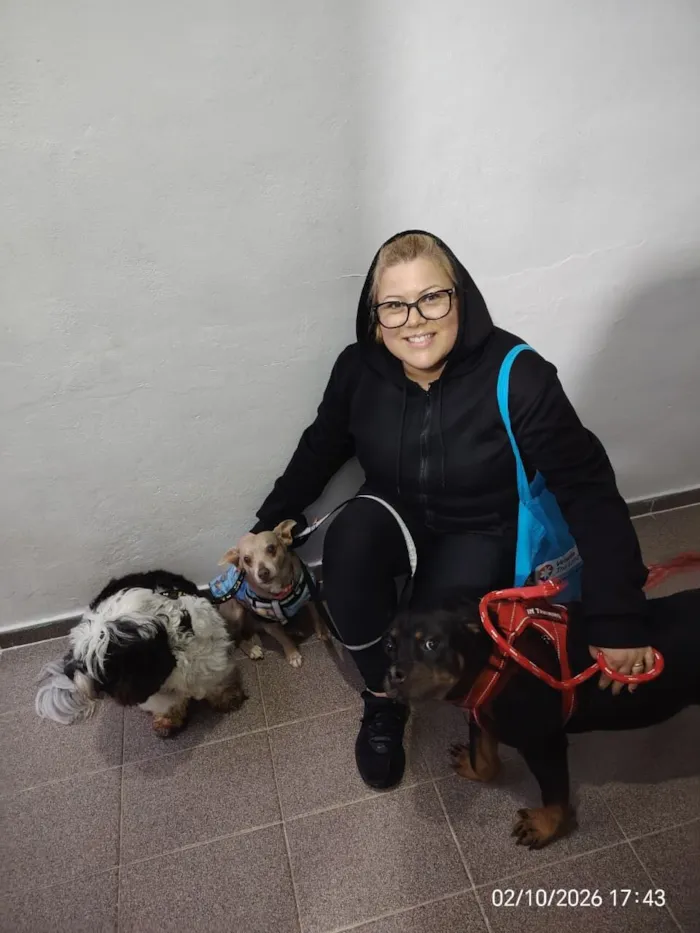 Cachorro raça SRD-ViraLata idade 1 ano nome Egon