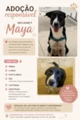 Maya