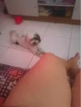 apolo