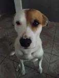 Paçoca 