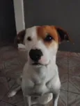 Paçoca 