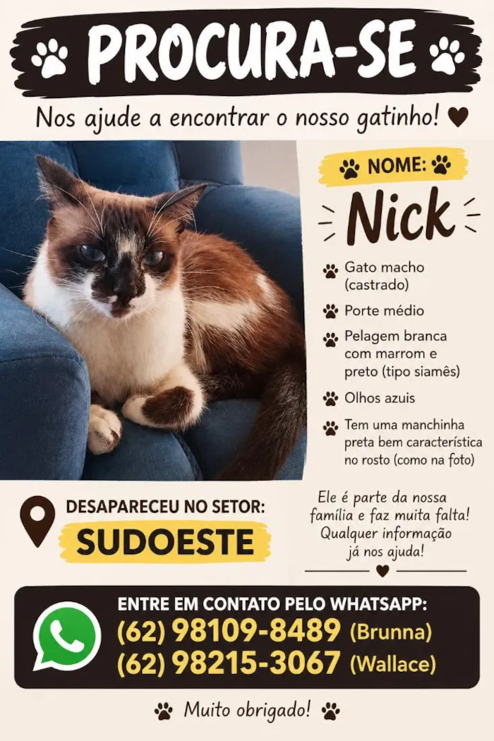 Gato raça Siamês idade 2 anos nome Nick