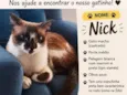 Nick