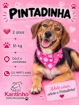 Pintadinha 