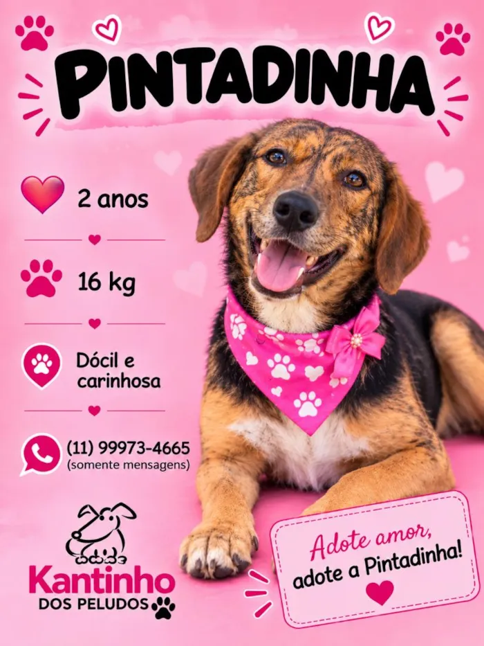 Cachorro raça SRD-ViraLata idade 2 anos nome Pintadinha 