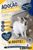 Não tem.