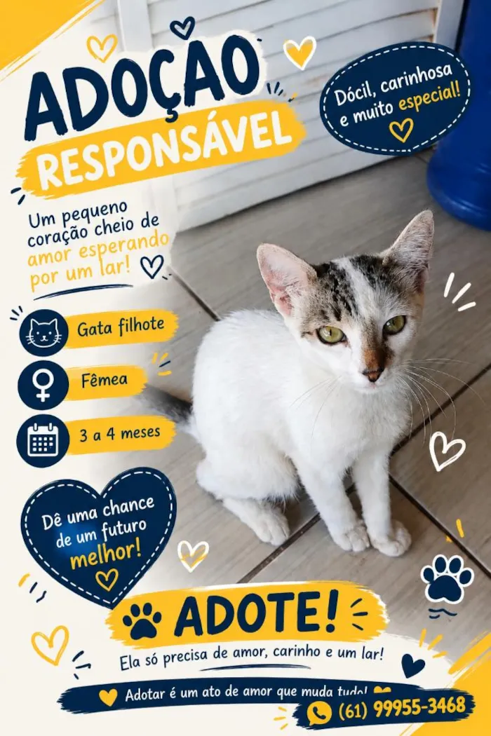 Gato raça SRD-ViraLata idade 2 a 6 meses nome Não tem.