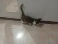 Não tem 