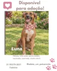 Luna