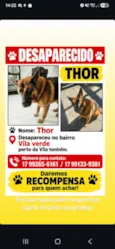 Thor