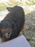 Bili