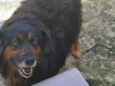 Bili