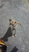 Bob