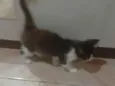 Não tem 