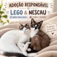 Lego e Nescau