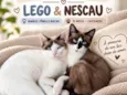 Lego e Nescau