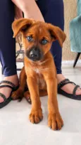 Maggie