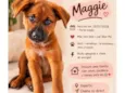 Maggie