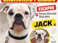 Jack