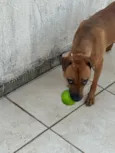 Mel
