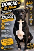 Tauros