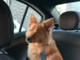 Ret