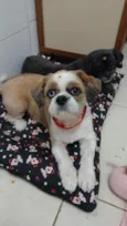 Kiara e Hanna