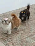 Kiara e Hanna
