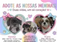 Kiara e Hanna
