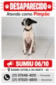 Pimpão