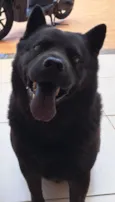 zeus