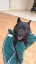 zeus