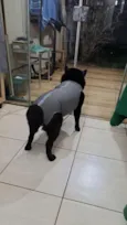 zeus