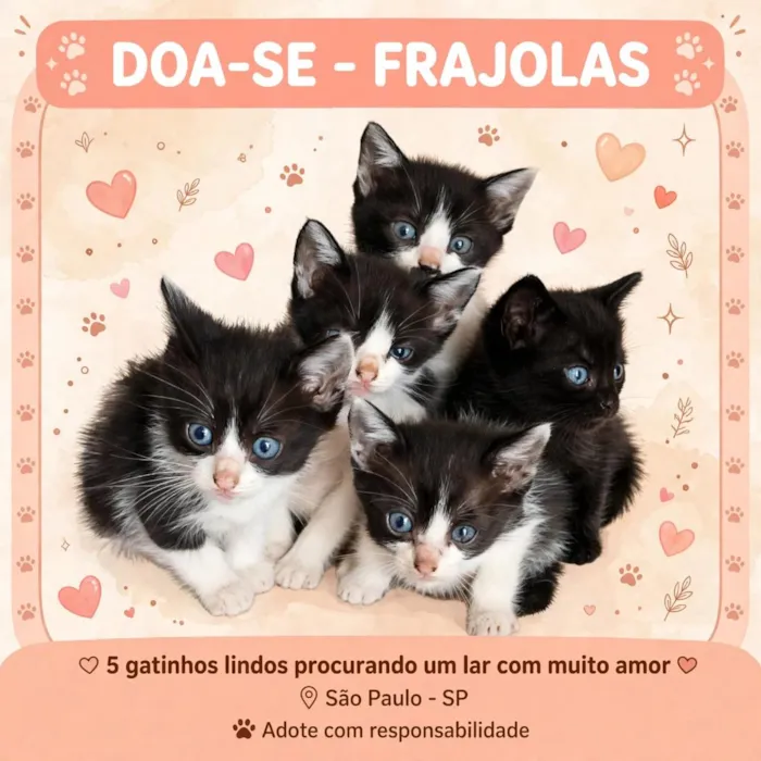 Gato raça SRD-ViraLata idade Abaixo de 2 meses nome 5 gatinhos a disposição 