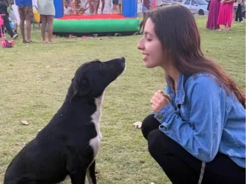 Cachorro raça SRD-ViraLata idade 1 ano nome Filhotinho