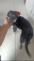 Valdir 