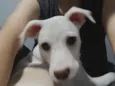Bob 