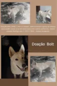 Bolt