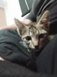 Fran