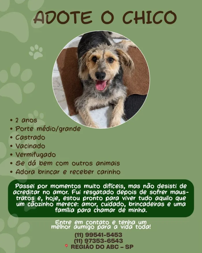 Cachorro raça SRD-ViraLata idade 1 ano nome Chico
