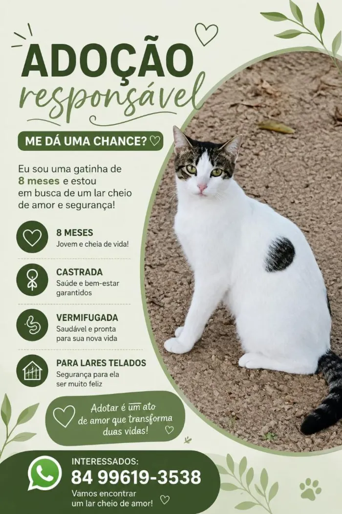 Gato raça SRD-ViraLata idade 7 a 11 meses nome Brisa