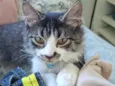 Sebastião