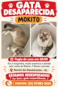 Mokito