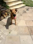 Mel