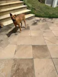 Mel