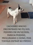 PERDIDO