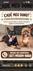 ENCONTRADOS E RESGATADOS PROCURANDO DONO