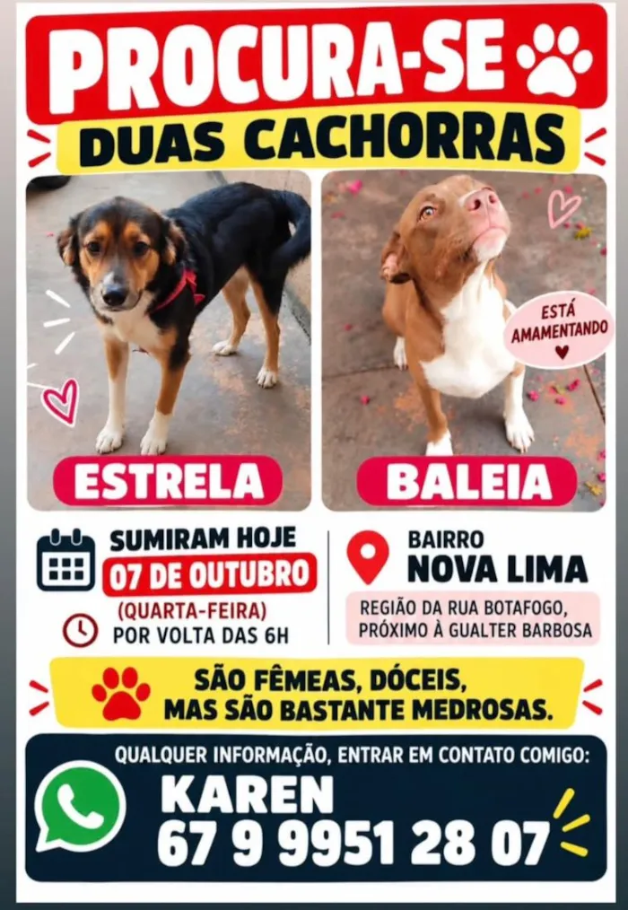 Cachorro raça SRD-ViraLata idade 2 anos nome Baleia e Estrela