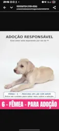 sem nome ainda 