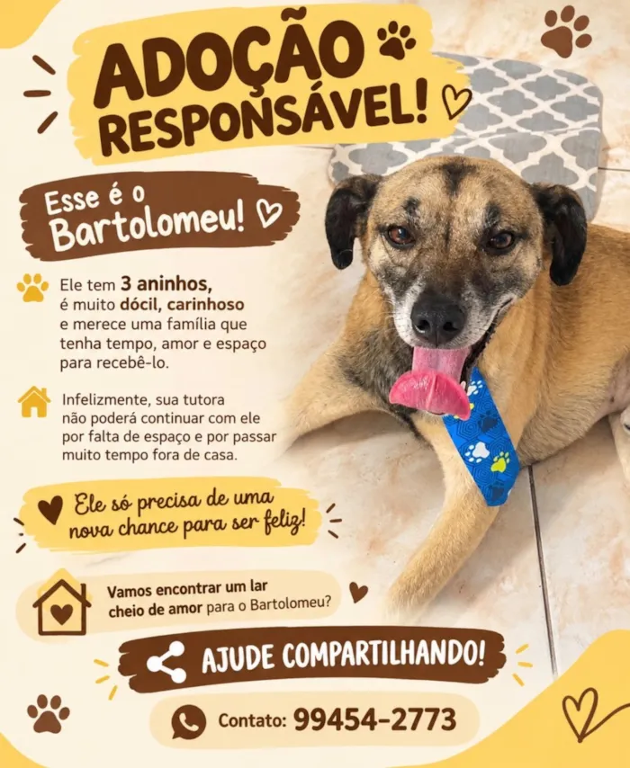 Cachorro raça SRD-ViraLata idade 3 anos nome Bartolomeu